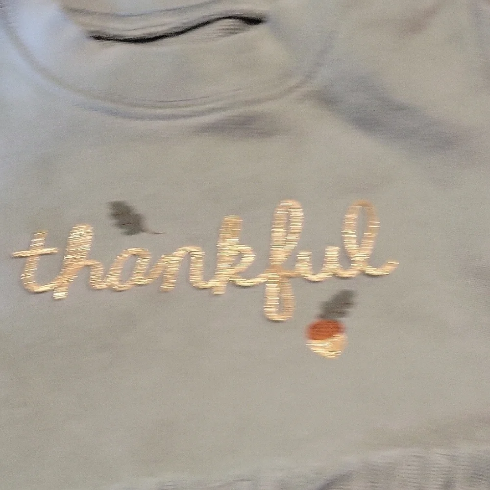 Carter's THANKFUL Long Sleeve Dress With Tulle Size 12 Months